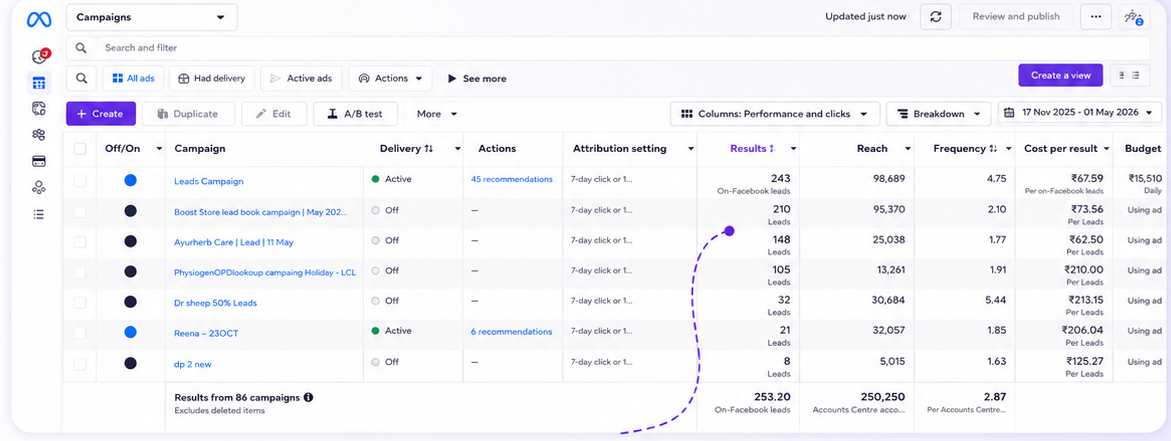 Real Facebook Ads Manager ROI dashboard graph display screenshot